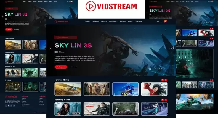 VidStream