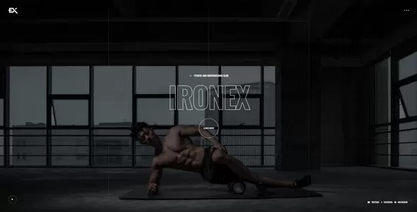 Ironex