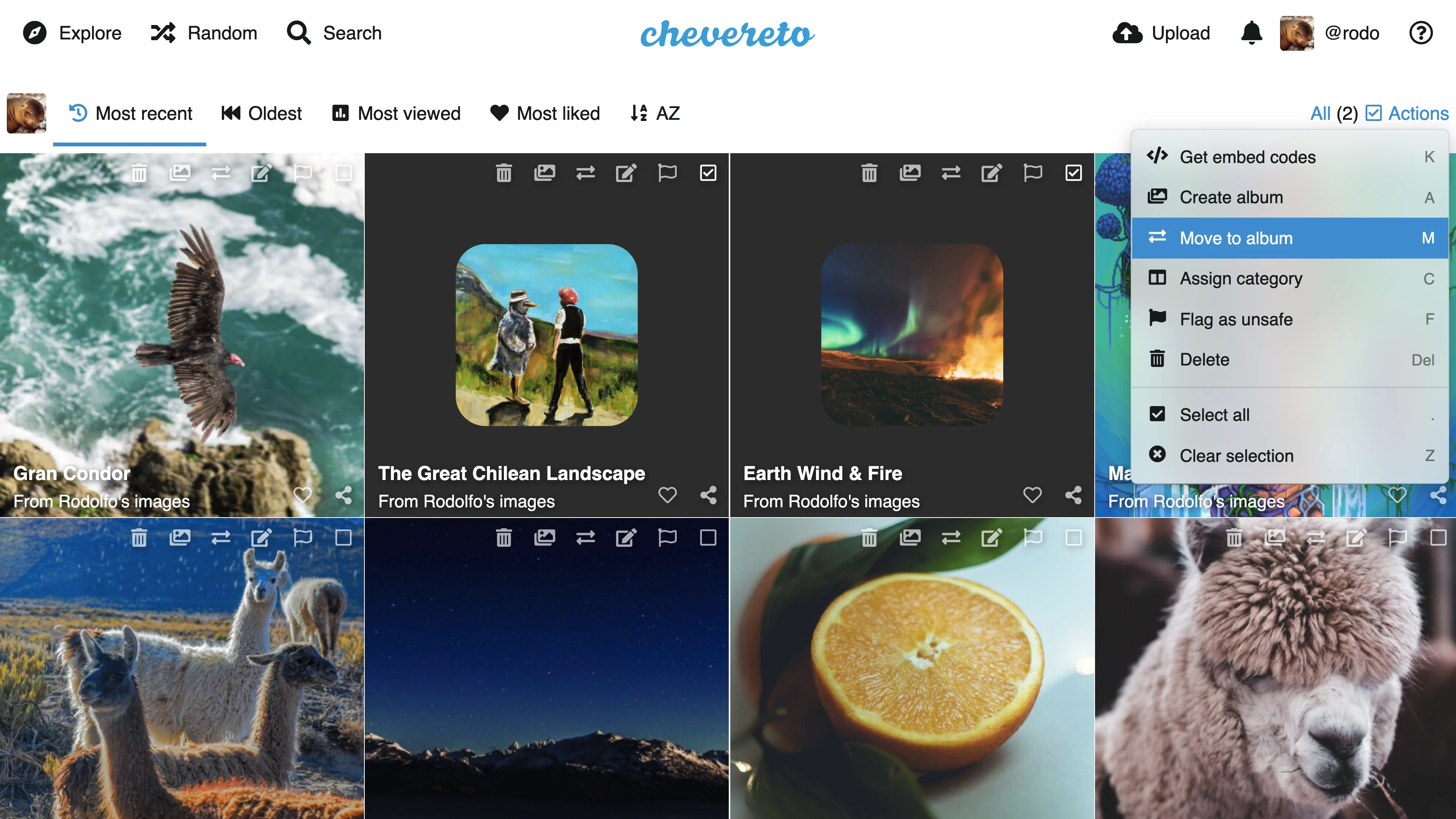 Chevereto Pro
